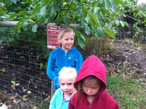 Girls next to a Chestnut tree that grows unique sized fruit